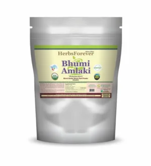Bhumi Amalaki Powder 16 oz, 454 gm
