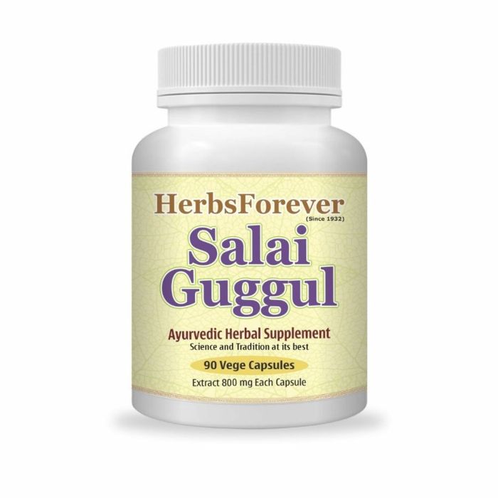 Salai Guggul 90 capsulas